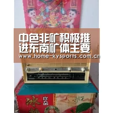 中色非矿积极推进东南矿体主要建设项目一季度收官和“双增一降”工作-开云(图1) 开云App下载